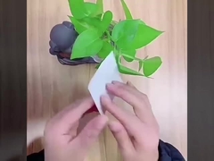 세미트랜스페어런트 탄력 있는 필름 드레싱